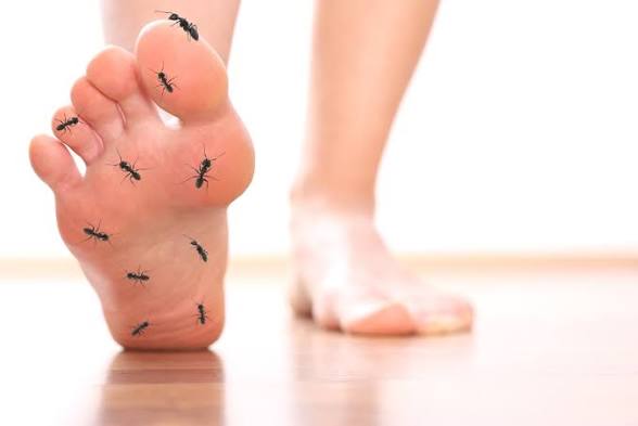 Numbness in the foot